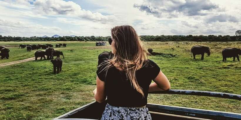 Ella: Shuttle to Tangalle/Mirissa/Galle & Udawalawa Safari - Key points before you book
