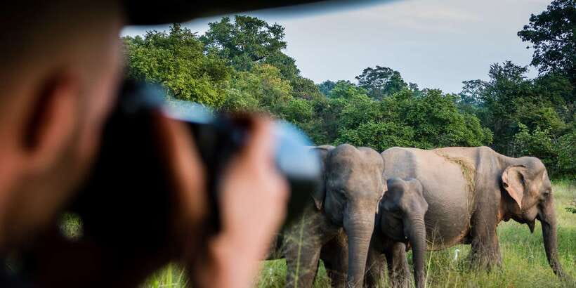 Ella: Shuttle to Tangalle/Mirissa/Galle & Udawalawa Safari - Simple ways to get more from the day