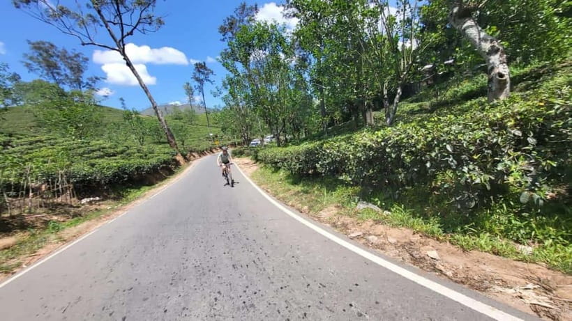 Ella, Sri Lanka Cycle Zone Bike Tour - Tea, plants, and a local welcome in Uva Province
