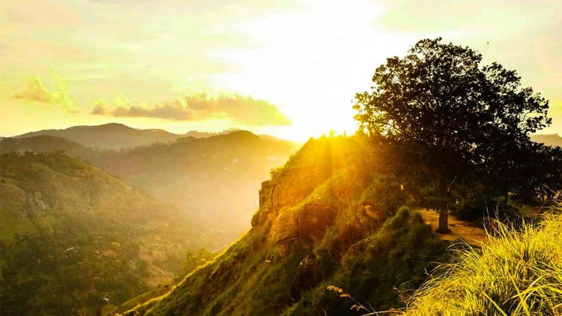 Ella: Sunset Tuk Tuk Tour with Little Adam's Peak Hike - What the Tuk Tuk Ride Adds