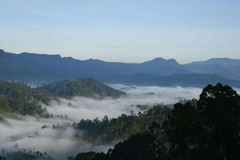 Ella: The Pekoe Trail Stage 16 - Ella to Demodara - Key points to know before you book