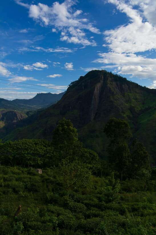 Ella: The Pekoe Trail Stage 16 - Ella to Demodara - Why this Ella to Demodara walk is worth considering