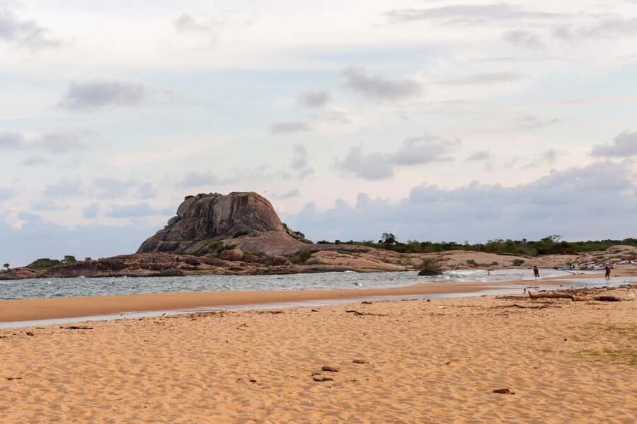 Ella: Transfer to Hikkaduwa & Yala Safari Tour - Why the guide can make or break the safari