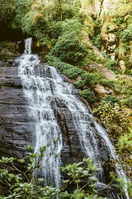Ella: Waterfall hunting Hike to Bambarakanda and Lanka Falls - The secret stop and the forest between waterfalls