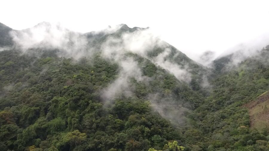 Ella: Waterfall hunting Hike to Bambarakanda and Lanka Falls - What the $60 price buys you