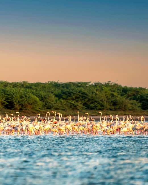 Ella : Yala Safari Drop : Arugambay / Arugam bay / Pottuvil - Is $97 per person good value?