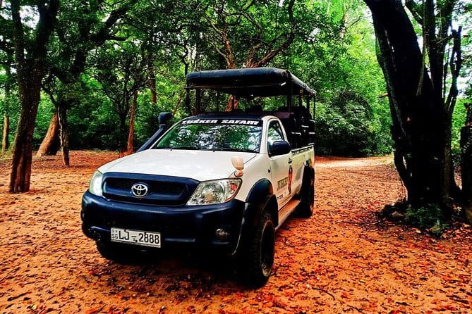 Everything in Udawalawe (Safari, Accommodation with Half Board) - Who will enjoy this experience most