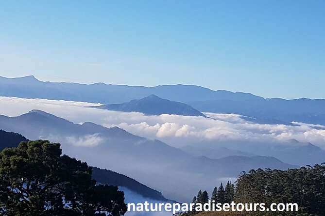 Exclusive knuckles Camping Tour from kandy - Key points before you book