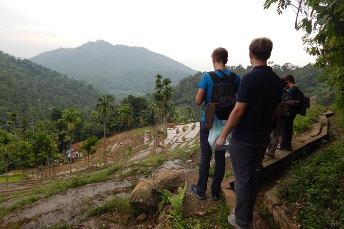Exclusive knuckles Camping Tour from kandy - What the guide adds to the walk