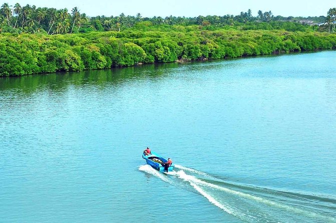 Exclusive: Muthurajawela Bird Watching Tour with Transfers - Is $35 a fair price?