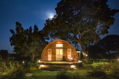 Exclusive : Overnight Leopard Safari with Luxury Glamping