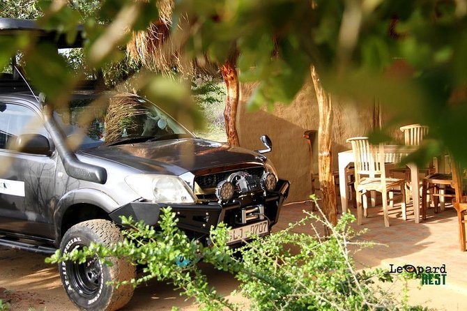 Exclusive : Overnight Leopard Safari with Luxury Glamping - Who will enjoy this safari most