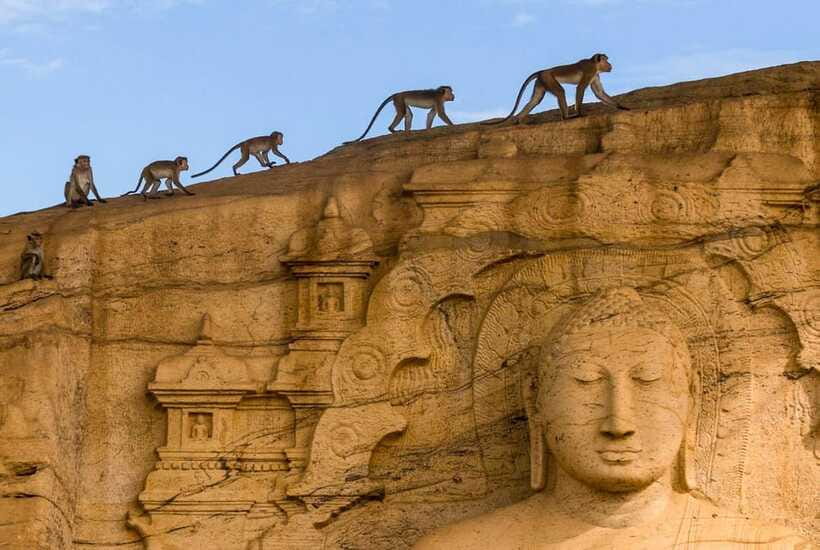 Exclusive: Sigiriya Fortress & Polonnaruwa Guided Tour - What the $70 Price Really Covers