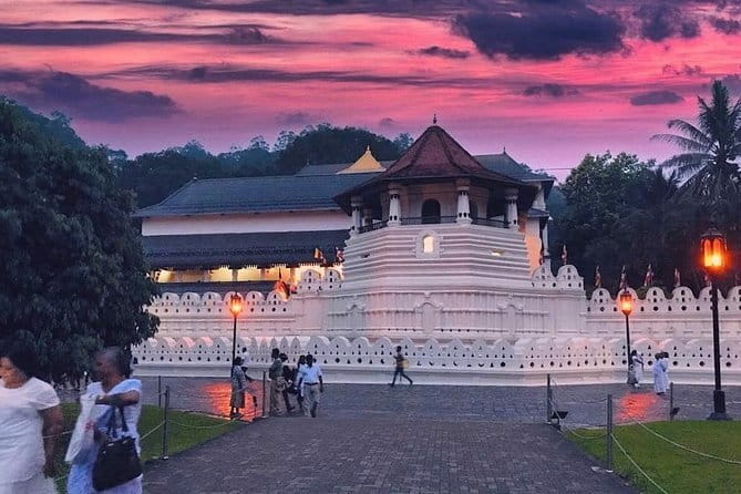 Experience the Beauty and History of Sri Lanka - Janith’s local help may be the tour’s best extra