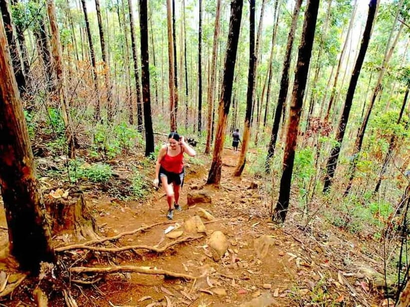 Explore Ella: Rock Hike, Loop, Falls, Nine arch & Train View - Key points to know before you book