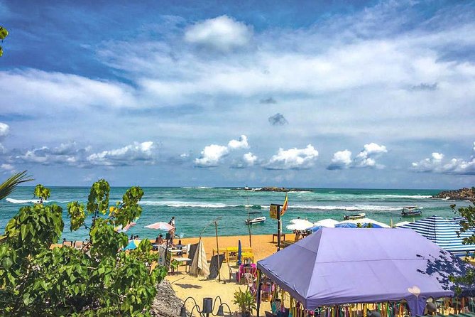 Explore the Beauty of South Coast in One Day - How much value do you get for $105?