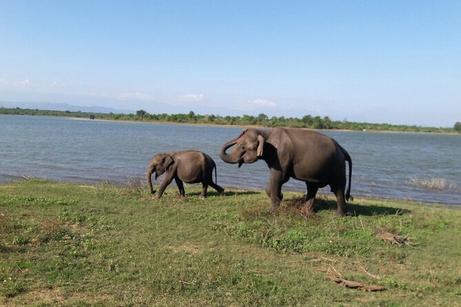 Explore The Beauty Of Udawalawe National Park From South Coast During 01 Day - The road from Galle to Udawalawe