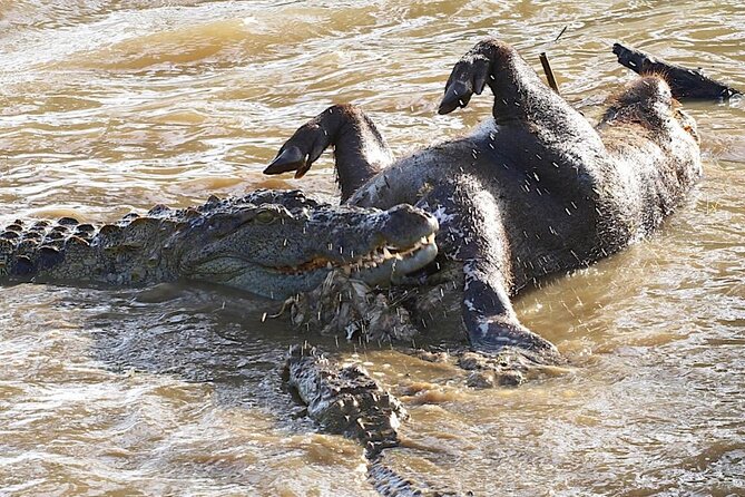 Explore The Beauty Of Udawalawe National Park From South Coast During 01 Day - Is $90 a fair price?
