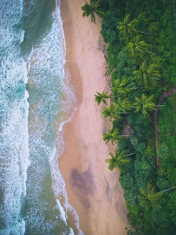Explore the MAGIC of Sri Lanka in 7days -4 Star hotels Incl. - Key points to know before booking
