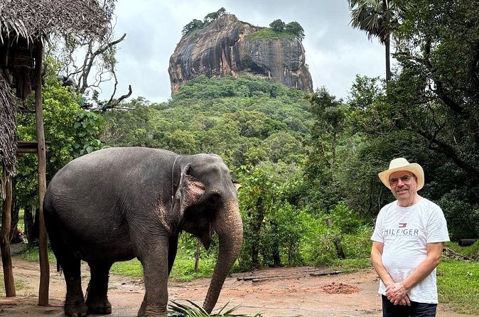 Explore Wonders of Sri Lanka 7 Days Private Tour - Colombo’s final morning and the value of private transport
