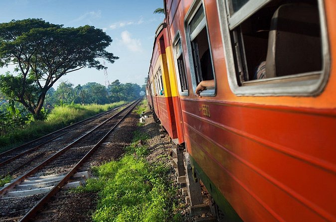 First Class Scenic Train Ticket From Kandy To Ella - Waterfalls, Nanuoya, and the tea country
