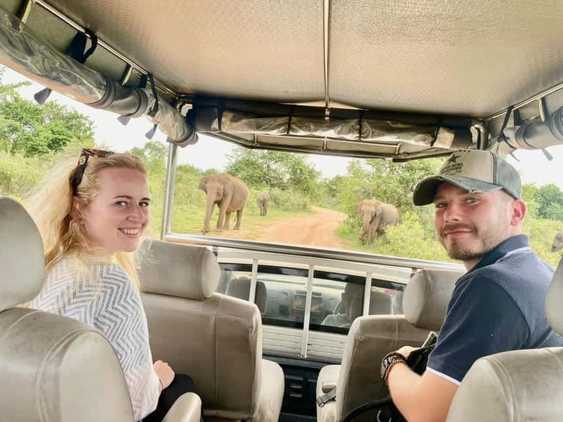 From Anuradhapura: Wilpattu National park Safari - Noise, traffic, and the less polished moments