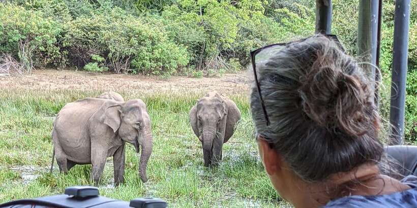 From Arugambay : Yala National Park Safari & Dropoff in Ella - Who should book this safari transfer