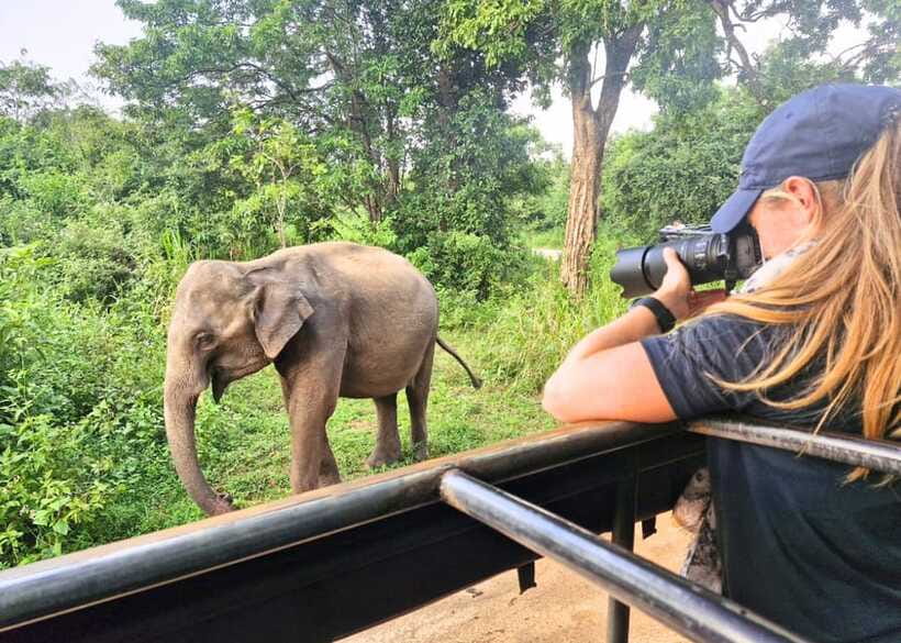 From Bentota: Elephant Transit Camp and Udawalawe Safari - Guide quality and the shape of the day