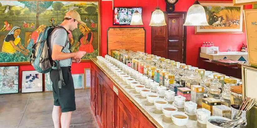 From Bentota: Southern Coast Highlights Private Day Tour - Lunch before Galle