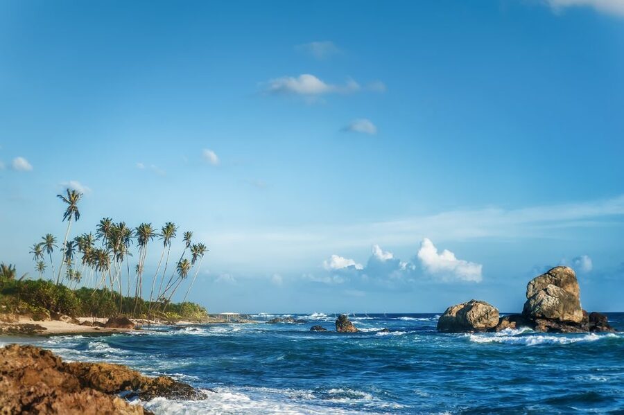 From Colombo: Day Trip to Galle City, Koggala and Unawatuna - The long Colombo day needs some planning