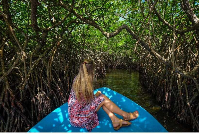 From Colombo: Exclusive Madu River Safari & Turtle Hatchery - Why Madu Ganga deserves the morning
