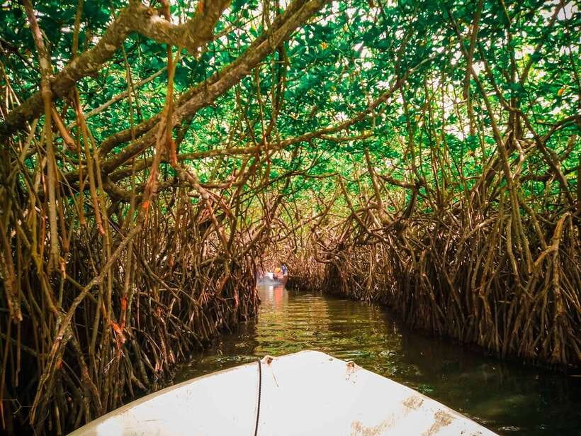 From Colombo: Galle, Bentota Coastal Highlights Private Tour - Madu Ganga: the day’s best nature experience