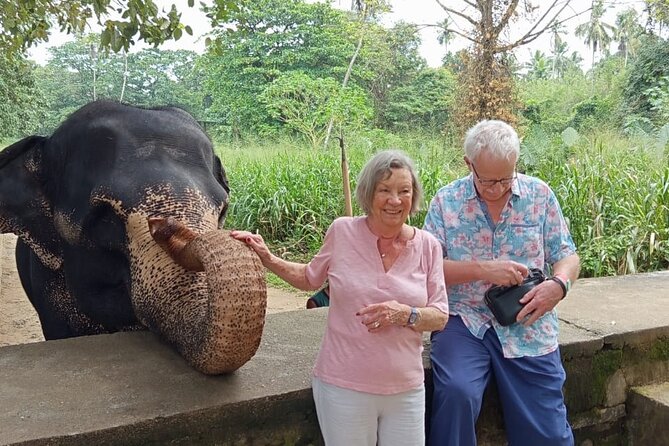 From Colombo: Kandy and Pinnawala Full-Day Trip - Why this Colombo to Kandy day works