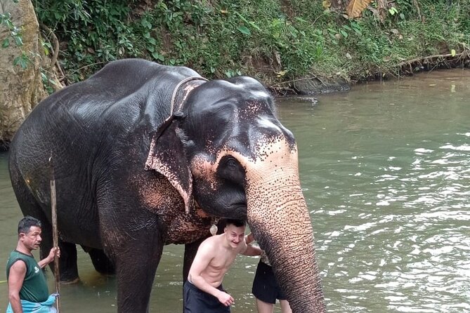 From Colombo: Kandy and Pinnawala Full-Day Trip - Kandy View Point in 30 minutes