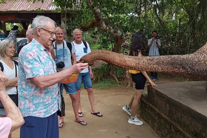 From Colombo: Kandy and Pinnawala Full-Day Trip - A one-hour walk through the Royal Botanical Gardens