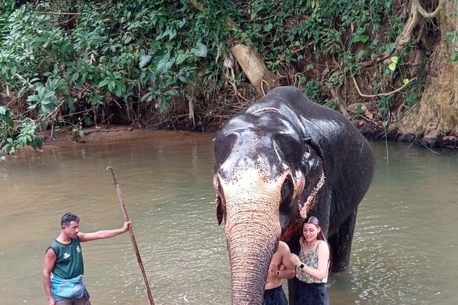 From Colombo: Kandy and Pinnawala Full-Day Trip - The vehicle, guide, and small-group setup