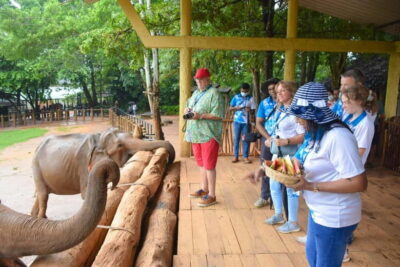 Kandy and Pinnawala Orphanage Short Excursions