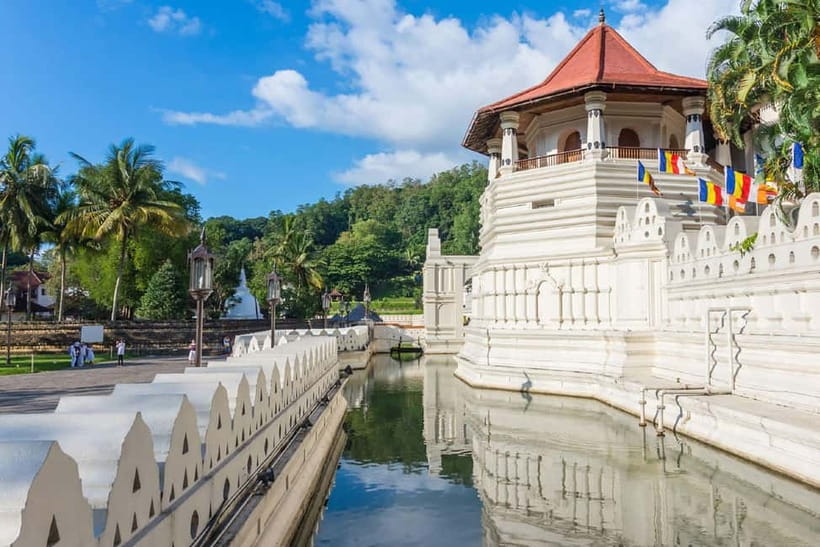 From Colombo: Kandy and Pinnawala Orphanage Short Excursions - Lunch, entrance fees, and the real cost