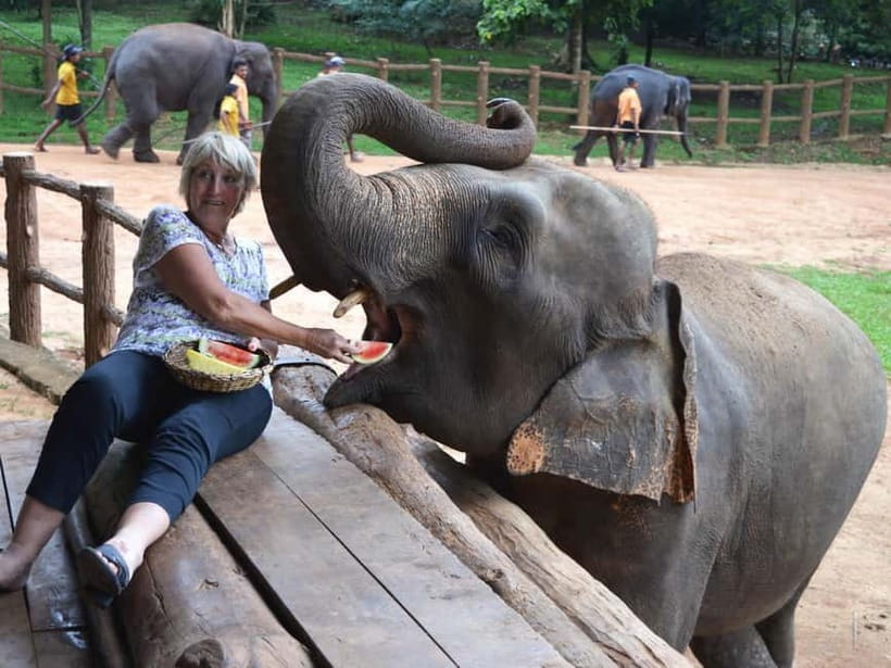 From Colombo: Kandy and Pinnawala Orphanage Short Excursions - Comfort, communication, and timing