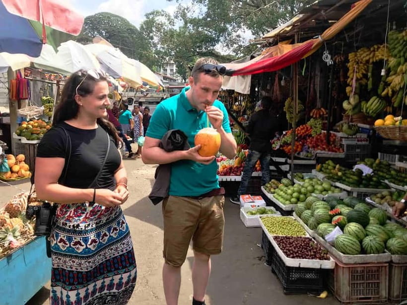 From Colombo: Kandy and Pinnawala Orphanage Short Excursions - Who should book this experience?