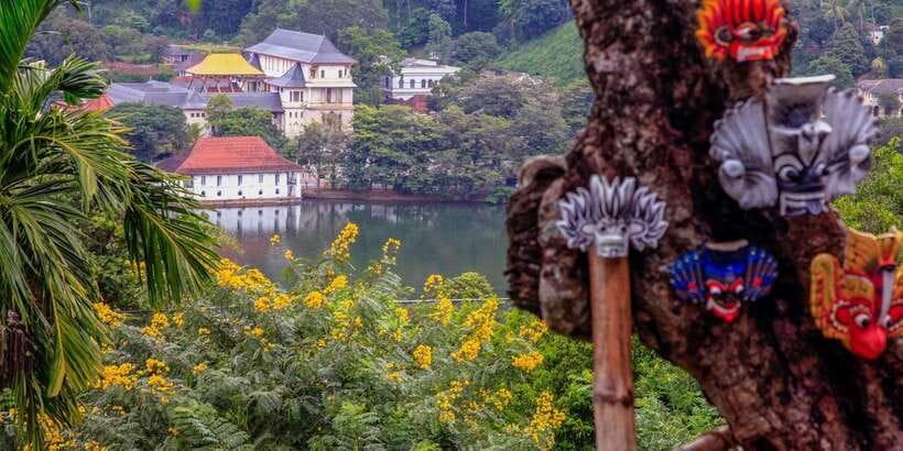 From Colombo: Kandy Full-Day Trip - The Royal Botanic Gardens at Peradeniya