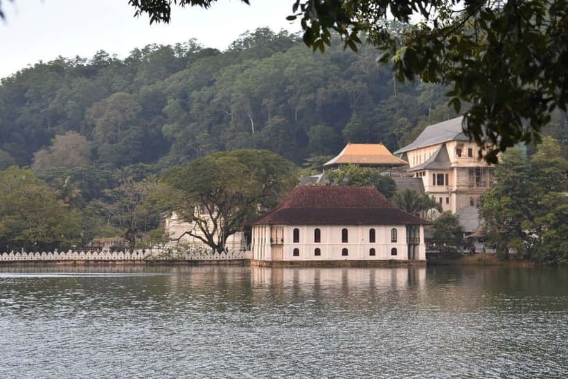 From Colombo: Kandy, Pinnawala and Tea Factory Full-Day Trip - Transport, guides, and the pace of the day