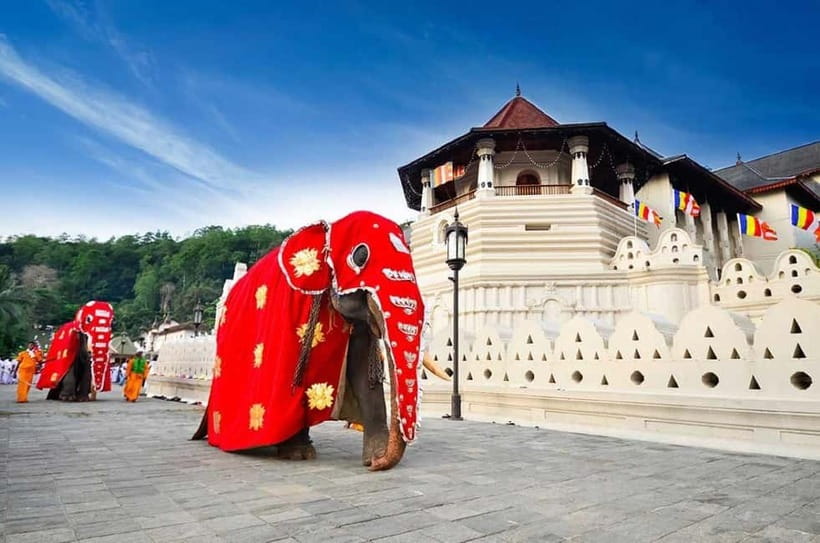 From Colombo: Kandy, Pinnawala and Tea Factory Full-Day Trip - Why this Colombo to Kandy day trip works