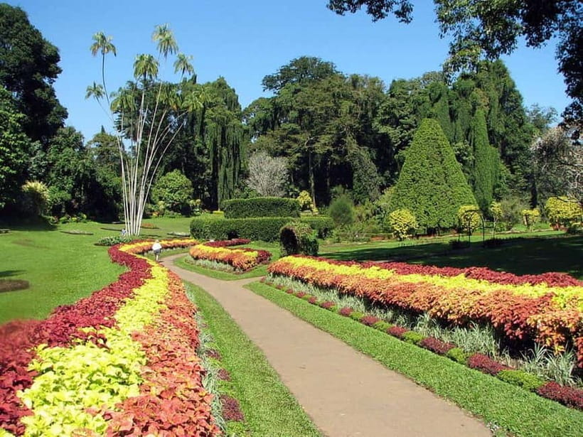 From Colombo: Kandy, Pinnawala and Tea Factory Full-Day Trip - Kandy views and the hill country
