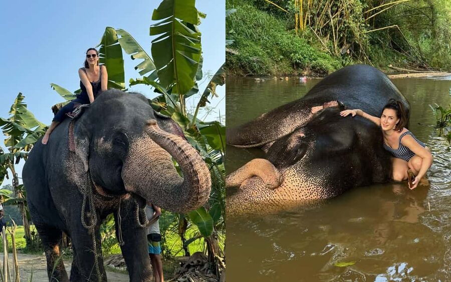 From Colombo: Kandy Temple of Tooth & Elephant Orphanage - Key points to know before you go