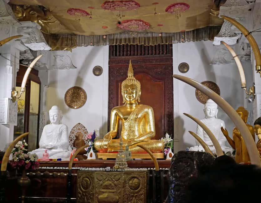 From Colombo: Kandy Temple of Tooth & Elephant Orphanage - Pinnawala and the elephant experience