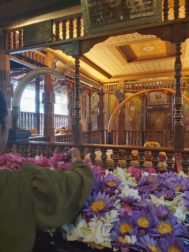 From Colombo: Kandy Temples and Pinnawala Full-Day Tour - Why this Colombo to Kandy day is worth considering