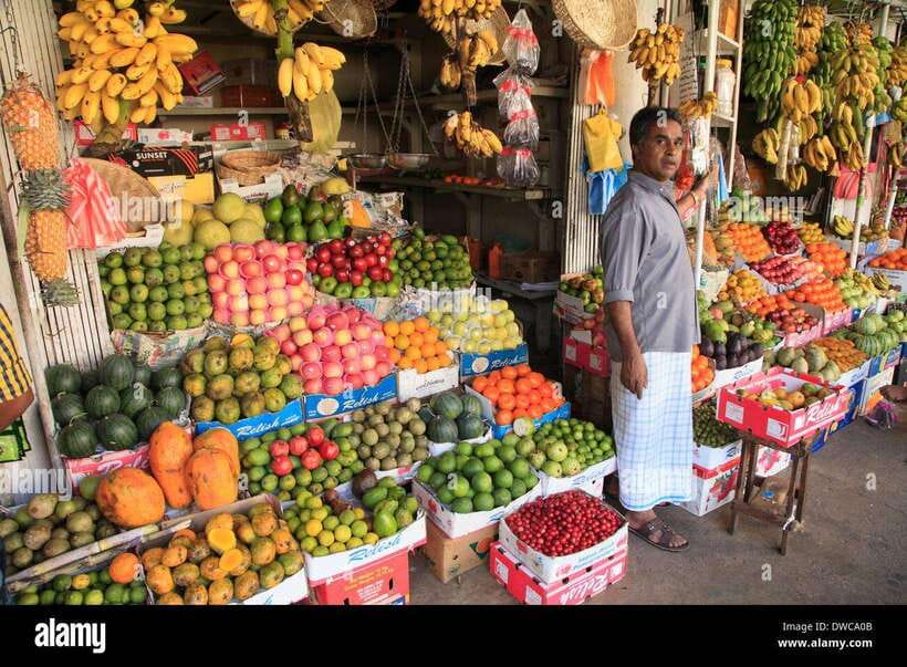 From Colombo: Kandy Temples and Pinnawala Full-Day Tour - Pinnawala and the Maha Oya River