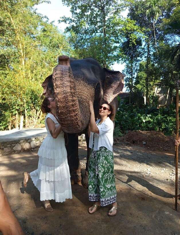 From Colombo or Negombo: Pinnawala, Kandy & Tea Factory Tour - Key points to know before booking