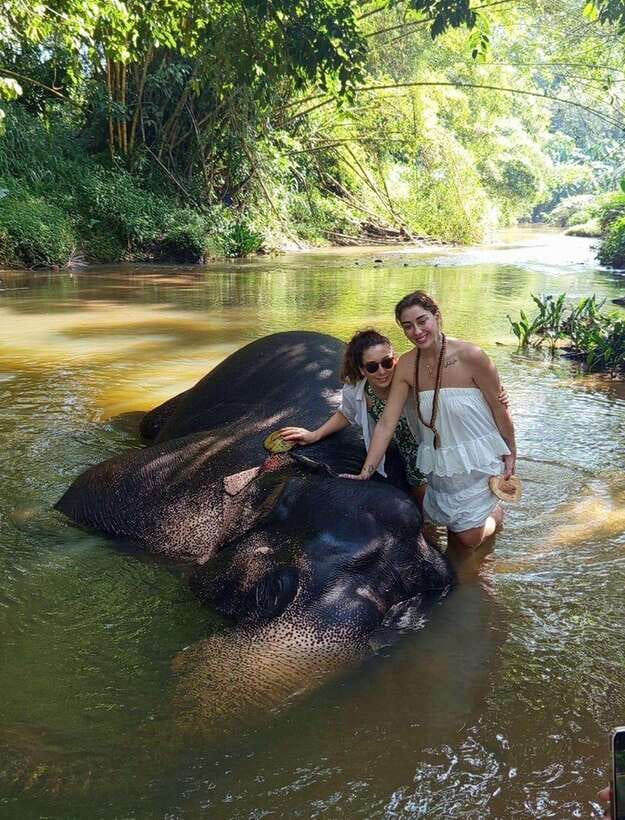 From Colombo or Negombo: Pinnawala, Kandy & Tea Factory Tour - Kandyan culture in a 45-minute visit